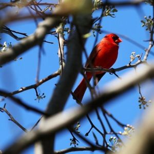 Meet your Posher, Jillian